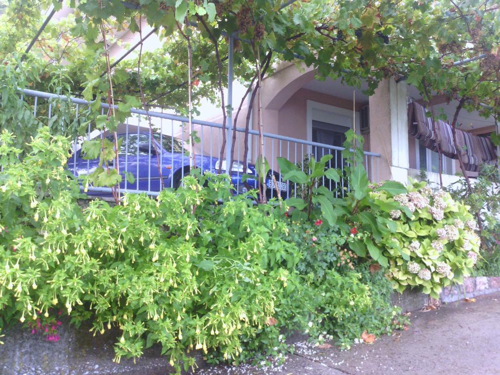 Apartments Mitrovic Podlicak Ilha Sveti Stefan Exterior foto